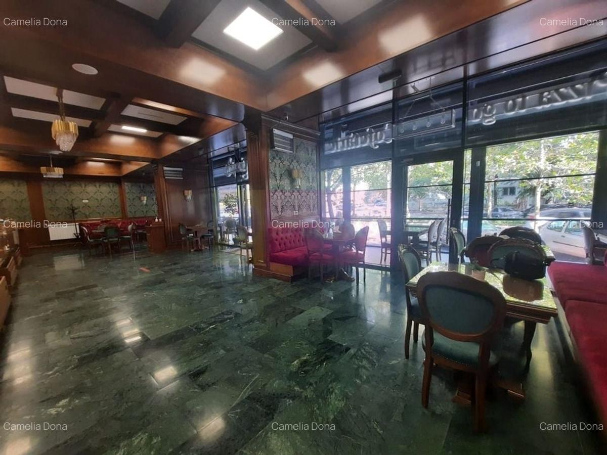 Spațiu comercial, 214 mp în Dristor - 5