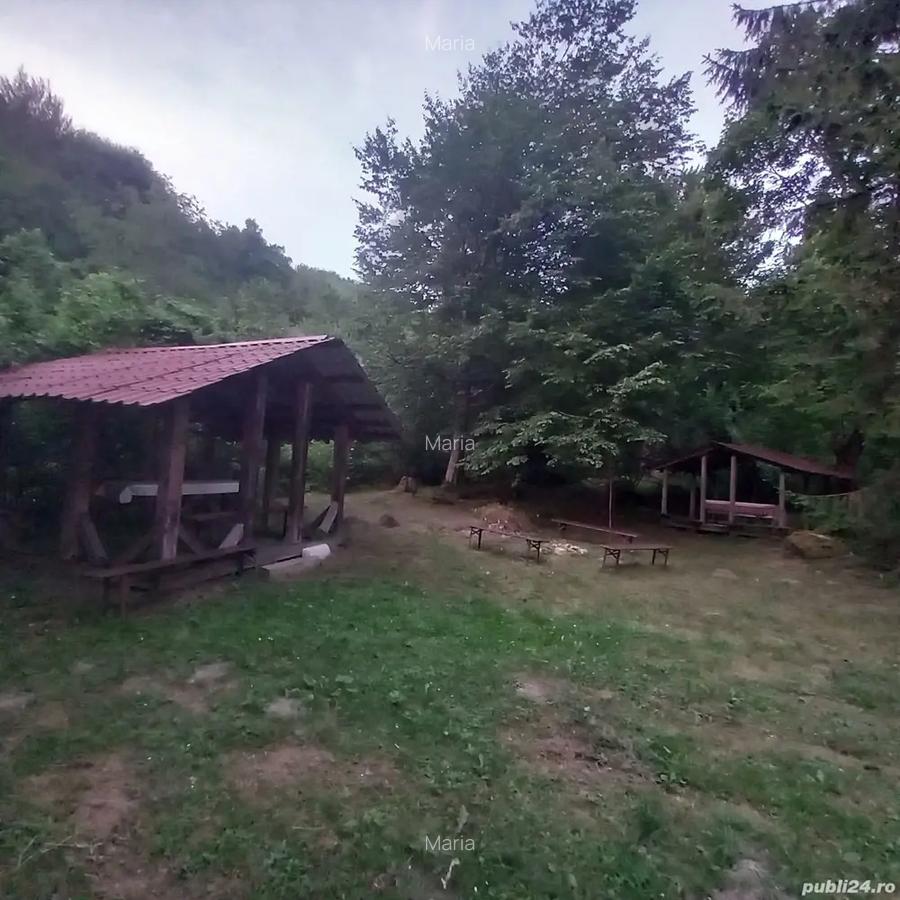 Un colt de paradis in Bucegi - 3