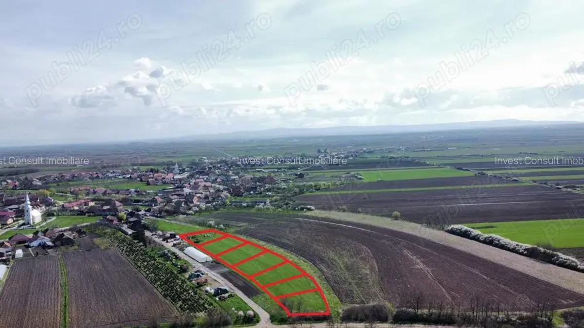 Parcele de teren - 729 mp | Amati - 3,5 km de Satu Mare - 2