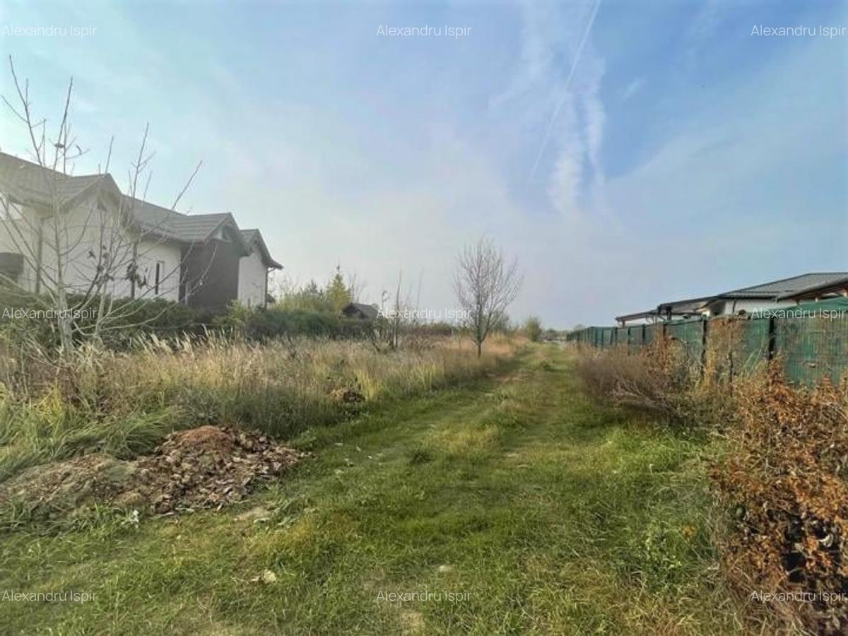 Teren Crevedia | 2000 mp | Toate utilitatile - 1