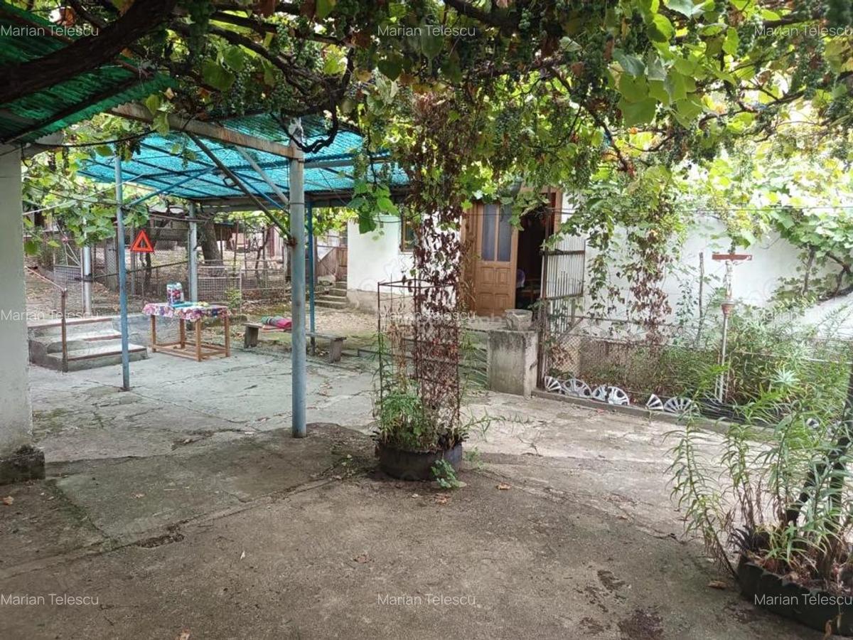 Bradisoru de Jos, Casa 14 Incaperi + Teren 1439MP - 7