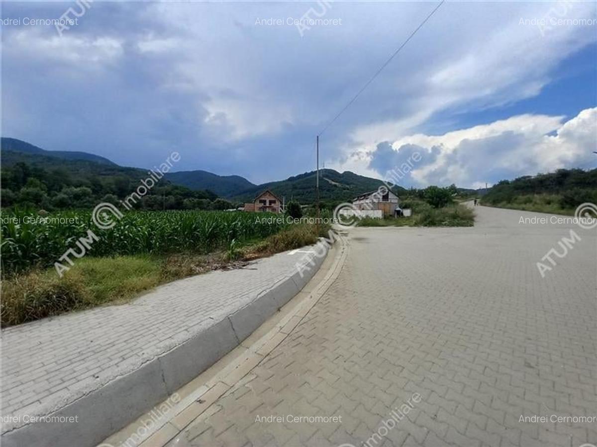 De vanzare 733 mp in Boita Sibiu - 7