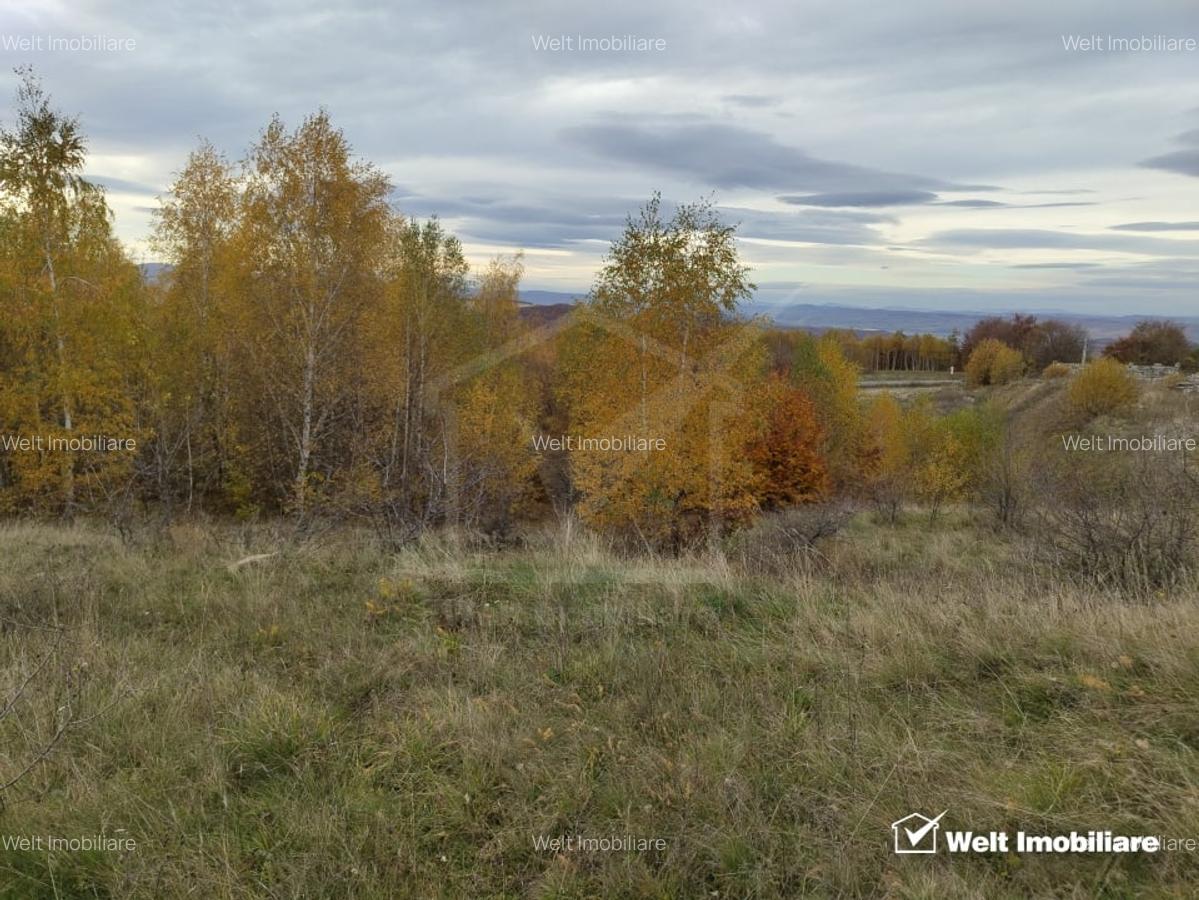 Teren intravilan – Salicea, 971 mp - 1