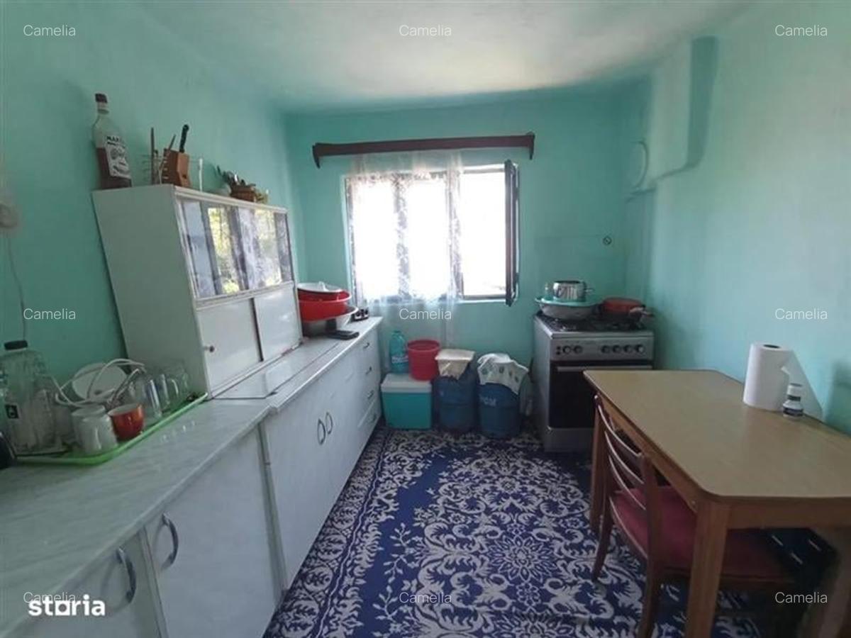 Casă cu 3500 mp Teren, Schitu-Golești, Argeș! - 16