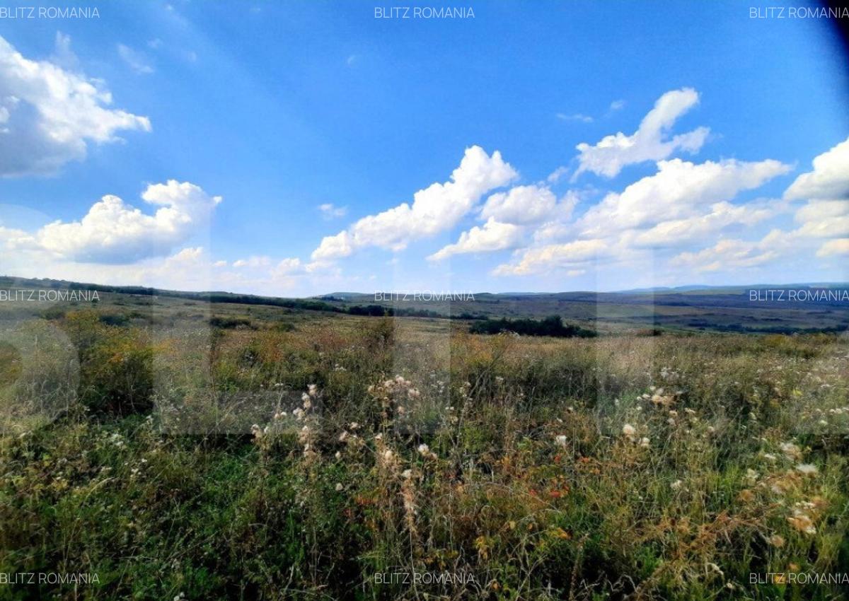 Teren intravilan de 5800 mp, situat in Padureni - 11