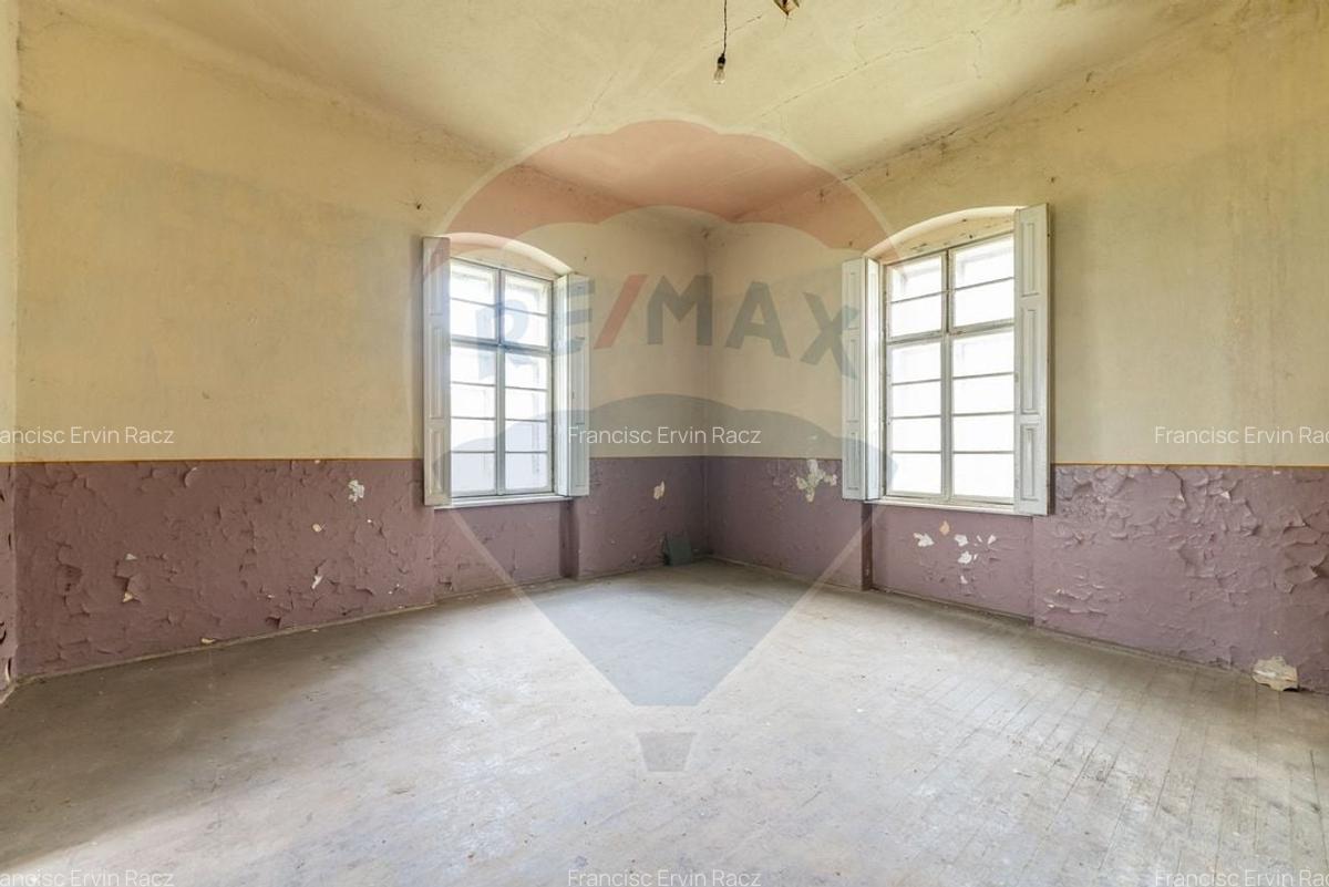 Conac aristocratic secolul XIX , domeniu  2,5 hectare -- Paulis, Arad - 15