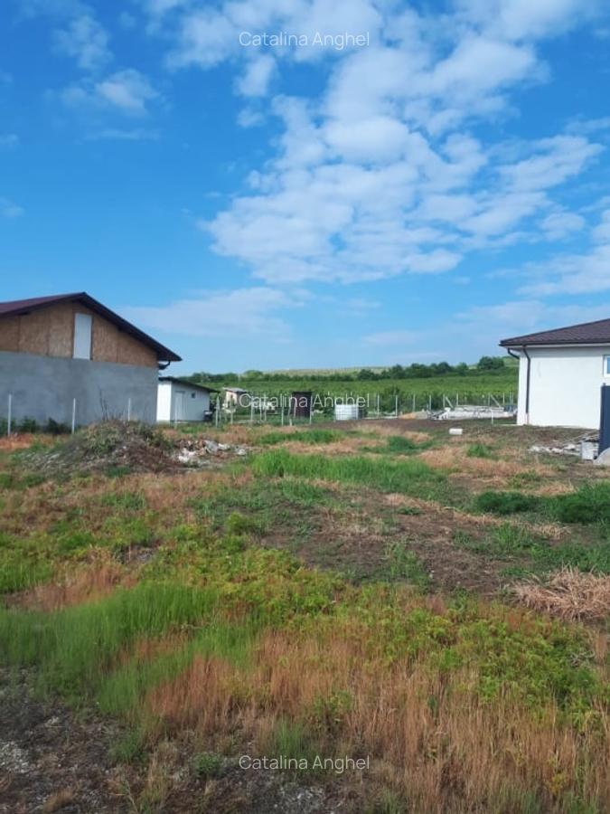 Loturi de teren intravilan, 413 mp, Chitorani, Prahova - 6