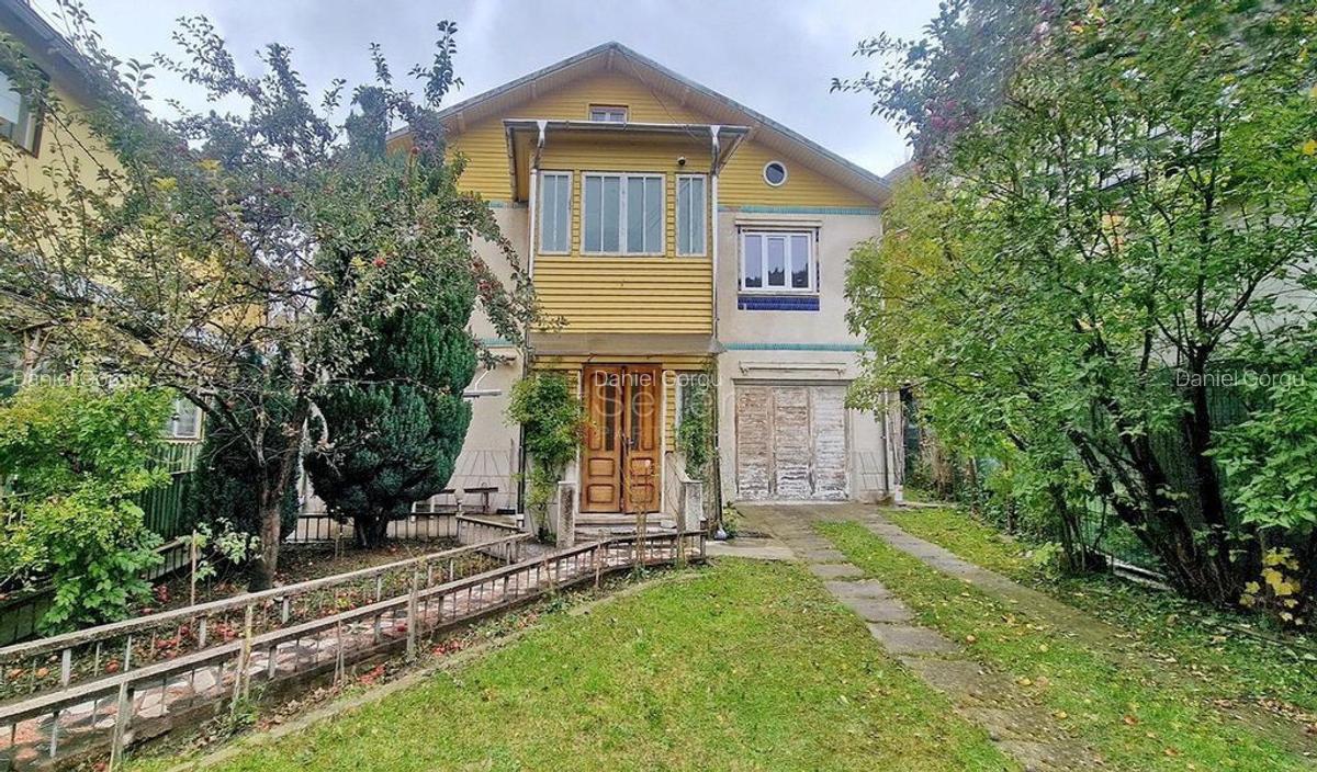 Aproape De Castelul Cantacuzino - 5 Aproape De Castelul Cantacuzino - 5