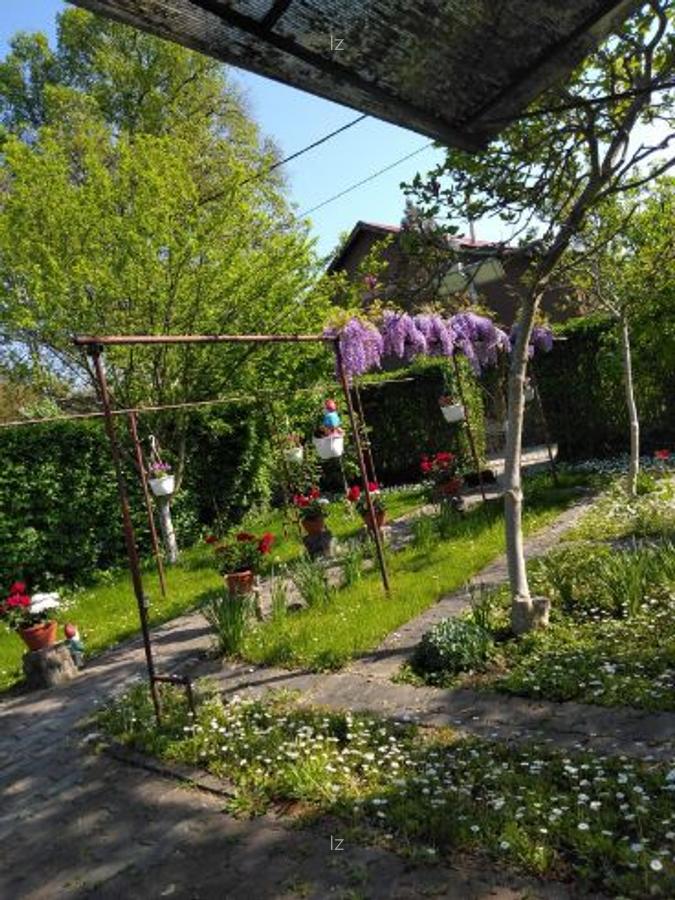 CASA de vanzare 3 Insule, Arad - Direct de la PRIVAT - 2