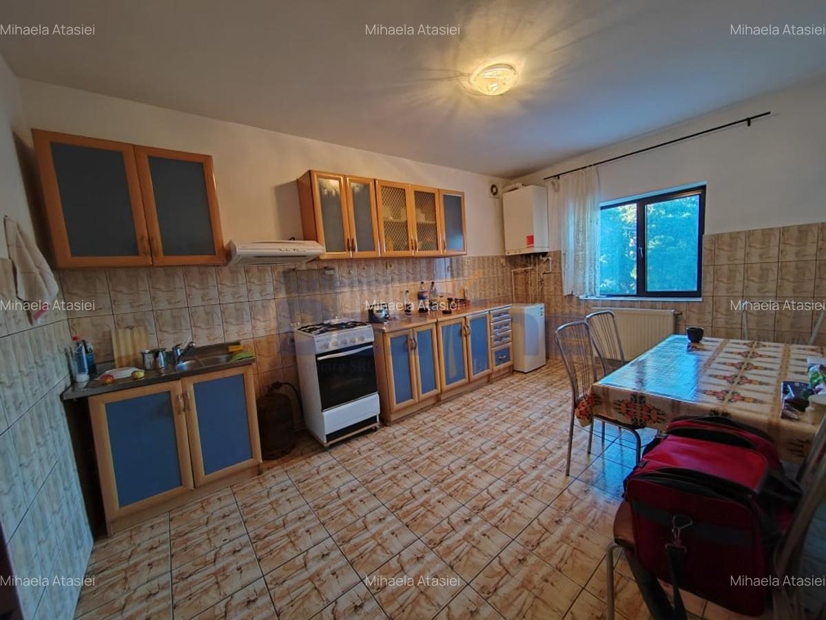 Casa individuala P+ETAJ+M 208 mp + 635 mp TEREN - BUCIUM - 6