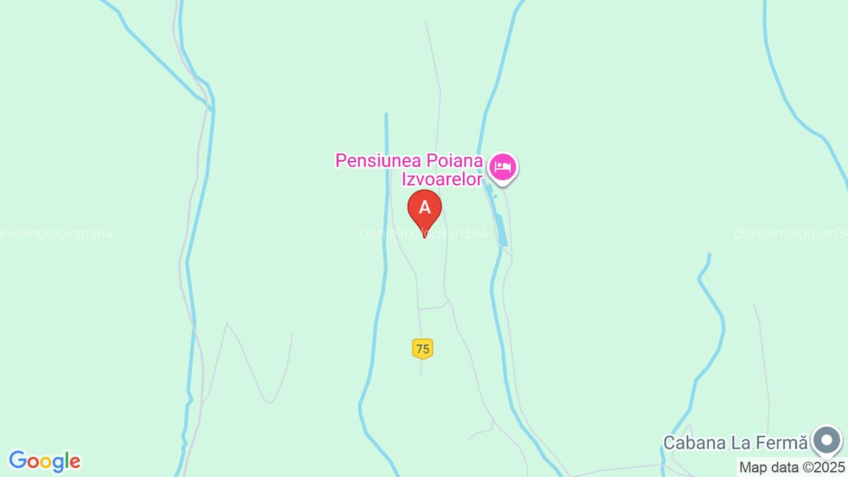 Vând casa batraneasca și teren 3892m - 1