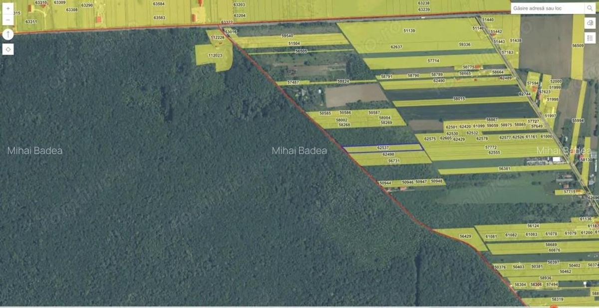 `Teren cu dubla deschidere, langa padure, Snagov - Strada Parcului - 2