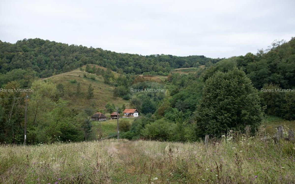 Teren intravilan de vis in Mun?ii Apuseni, curent + izv... - 11