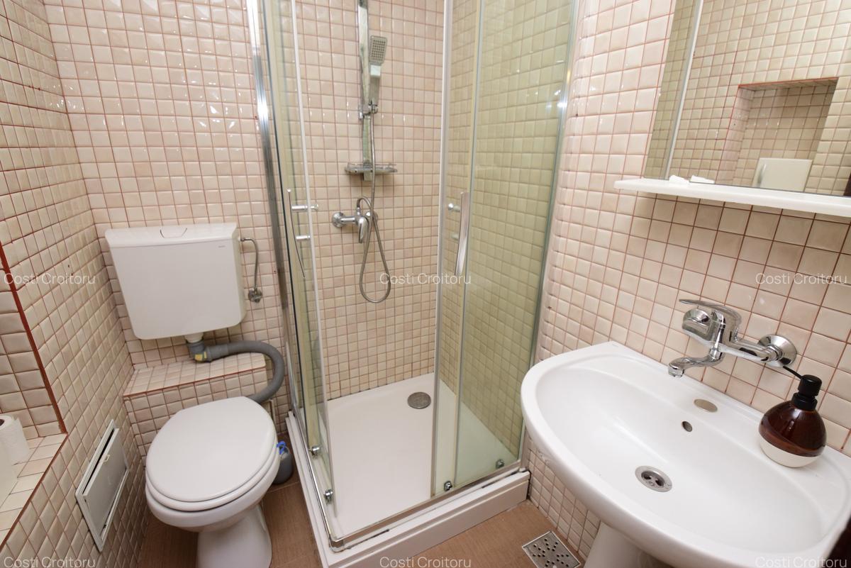 Garsonieră mobilată, Iacob Felix - Piața Victoriei - 11