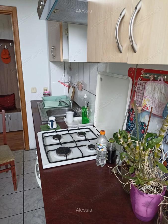 Apartament cu o camera langa McDonald's Rogerius - 9