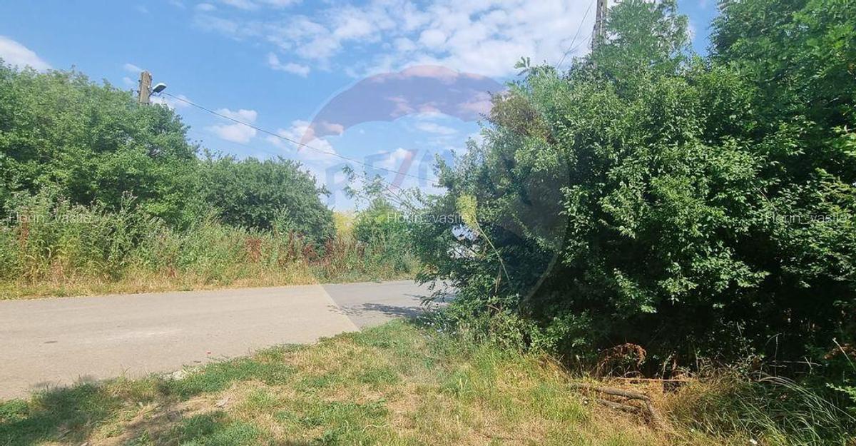 Vanzare Teren 1,300mp Balotesti / Strada Tarina Veche/Rez... - 3