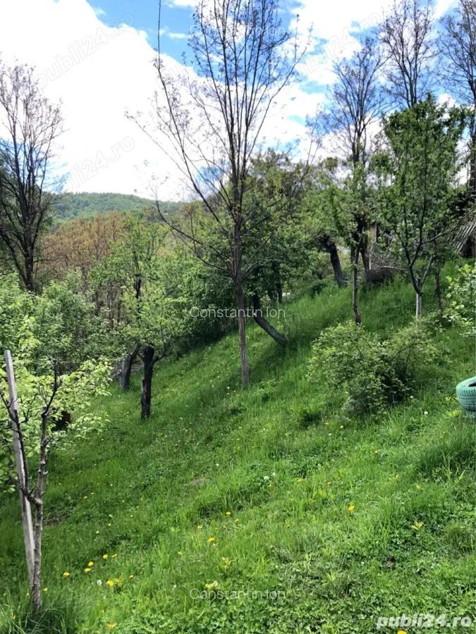 Vind casa 4 camere P+etaj si teren 1000 mp ,Sotrile ,Prahova 55000 E - 4