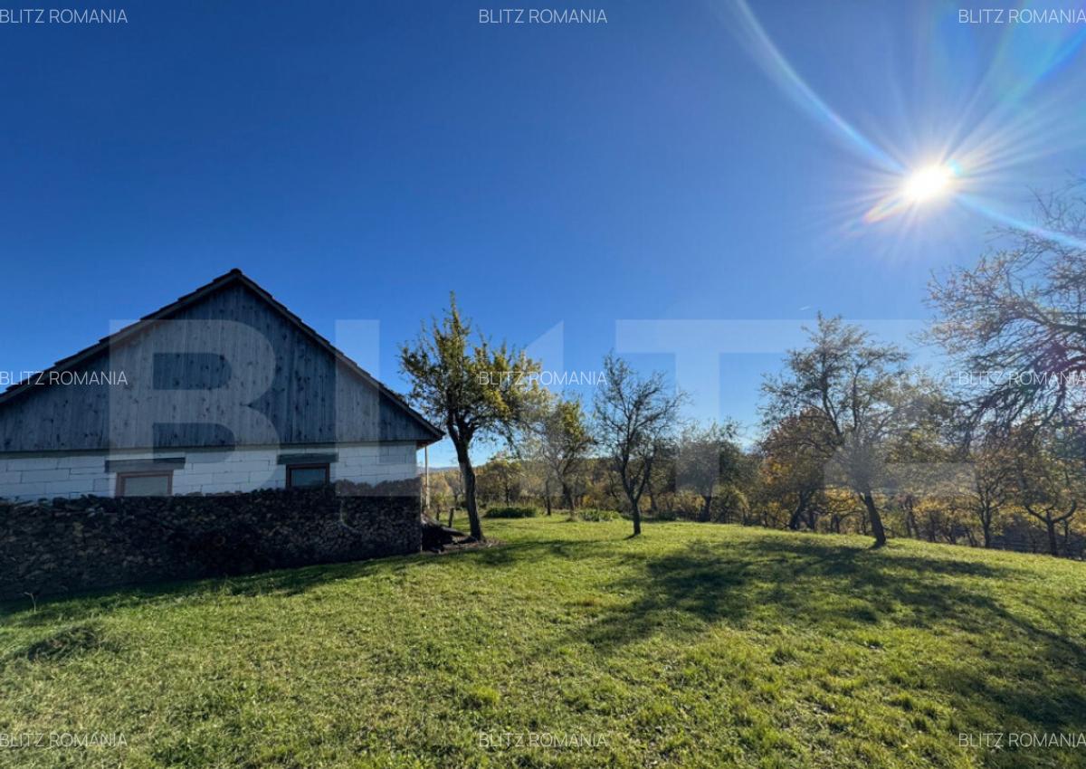 Teren extravilan 2000mp in Tarsa - 1