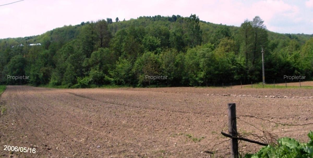 Vad 22000 mp INTRAVILAN BOGATI DJ702C jud Arges - 6