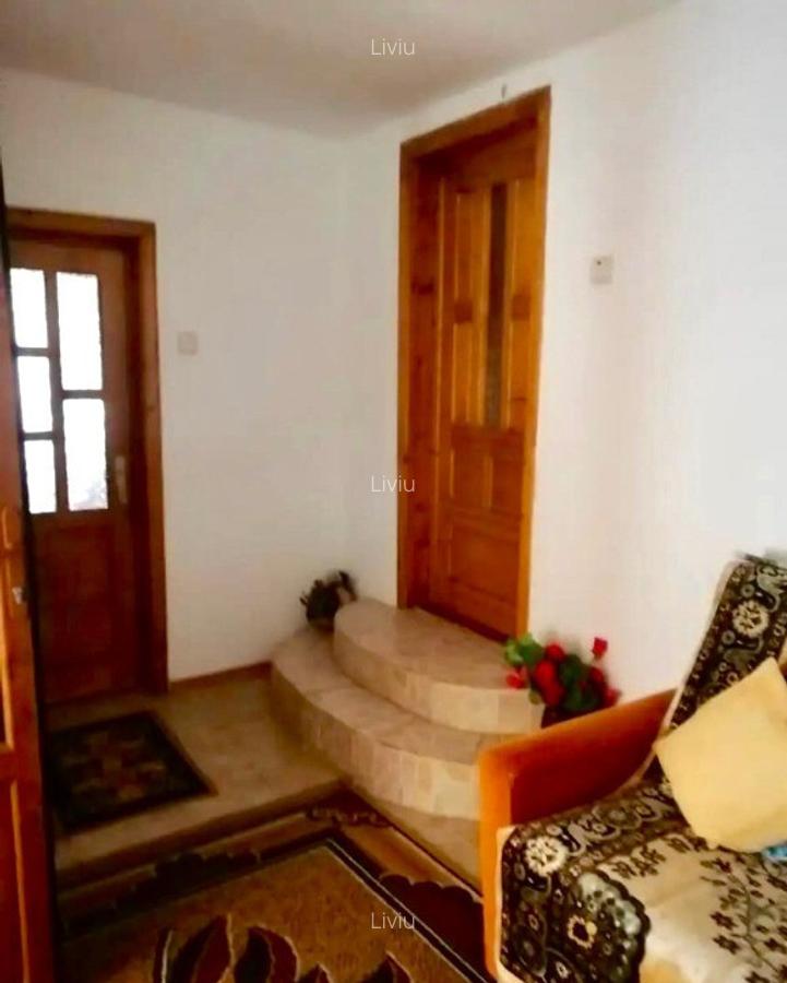 Casa spa?ioasa in Pogoanele, jude?ul Buzau - 12