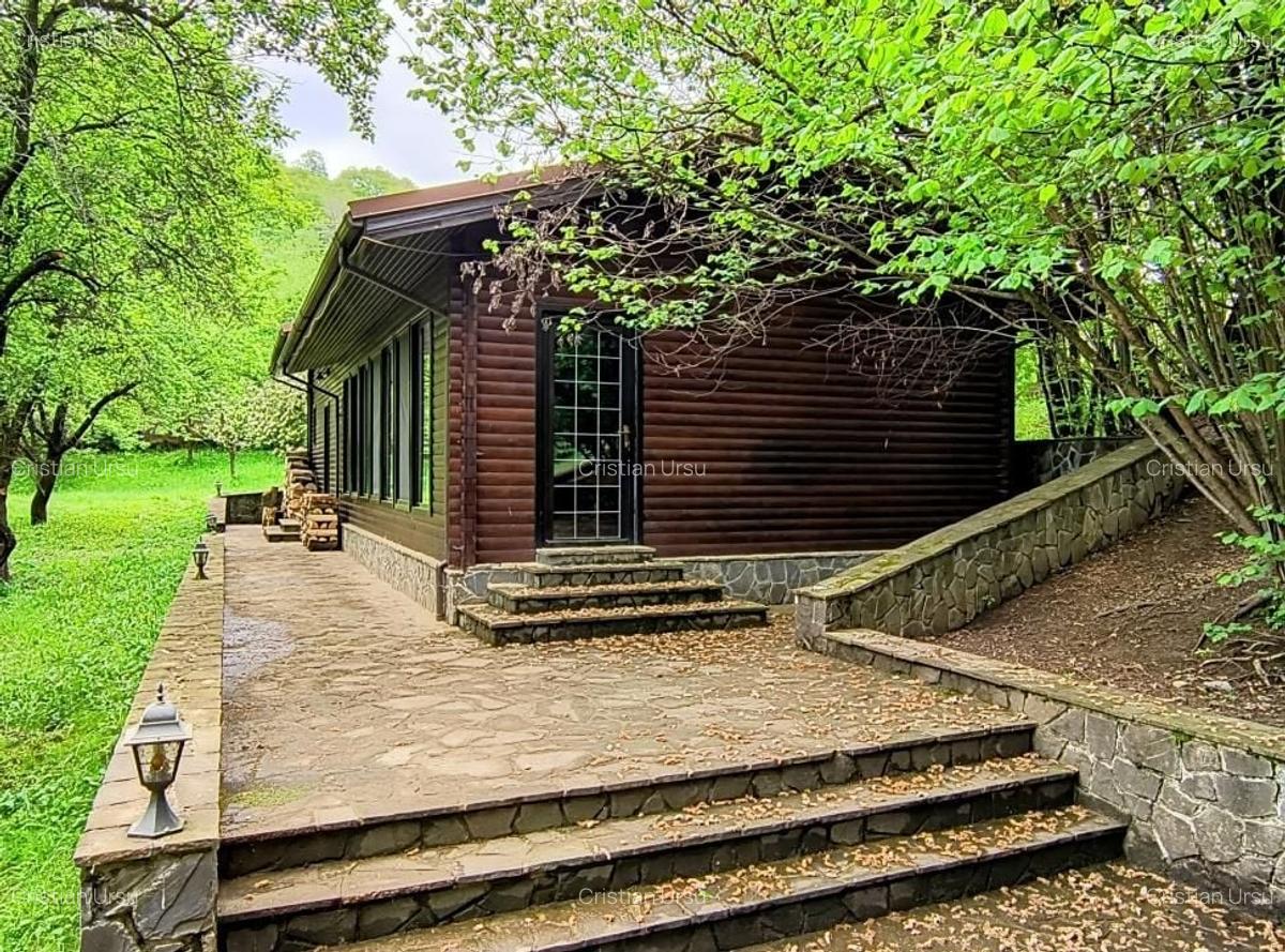 Casa de vacanta deosebita Breaza- Nistoresti - 28