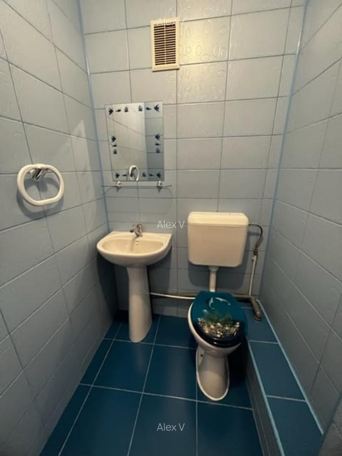 Apartament 3 camere de inchiriat Giurgiului Eroii Revolutiei - 13