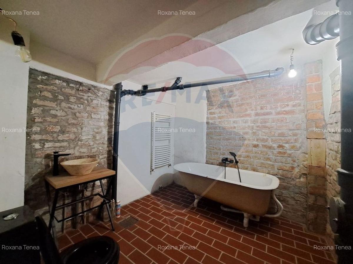 Spatiu comercial-Demisol-Atelier de arta - 9