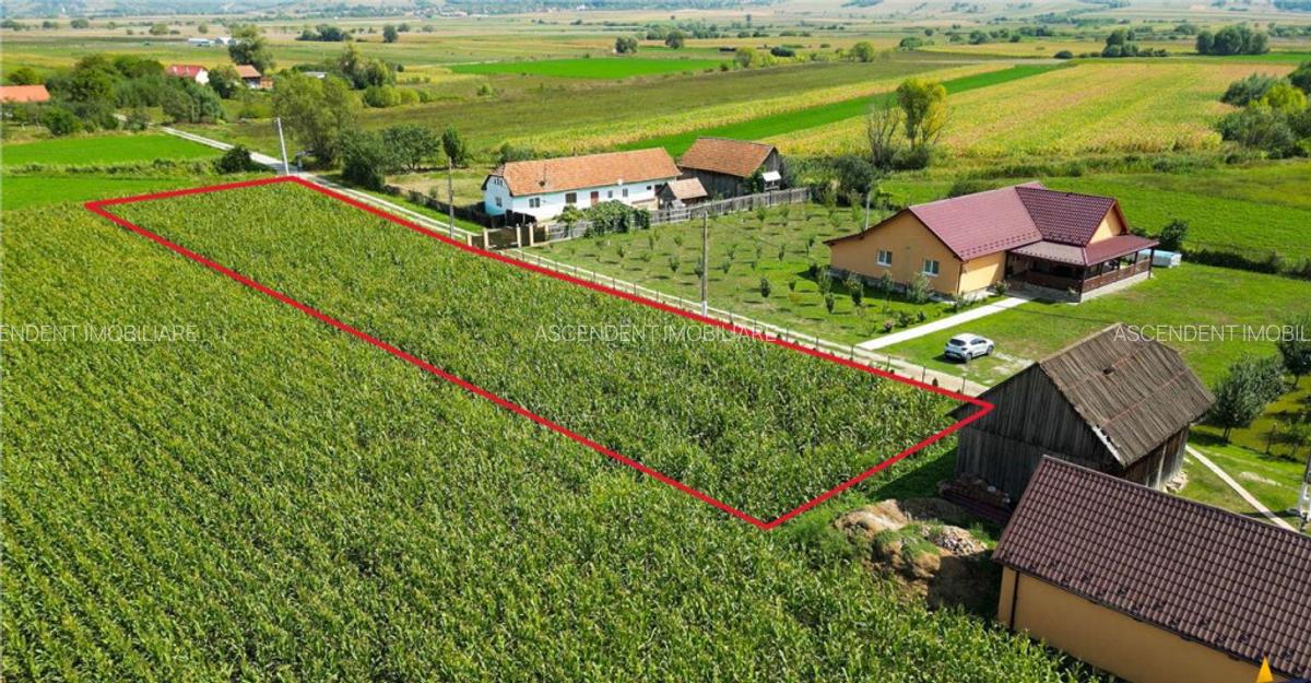 2.000mp intravilan, Bacel, zona linistita, intre Brasov si S - 3
