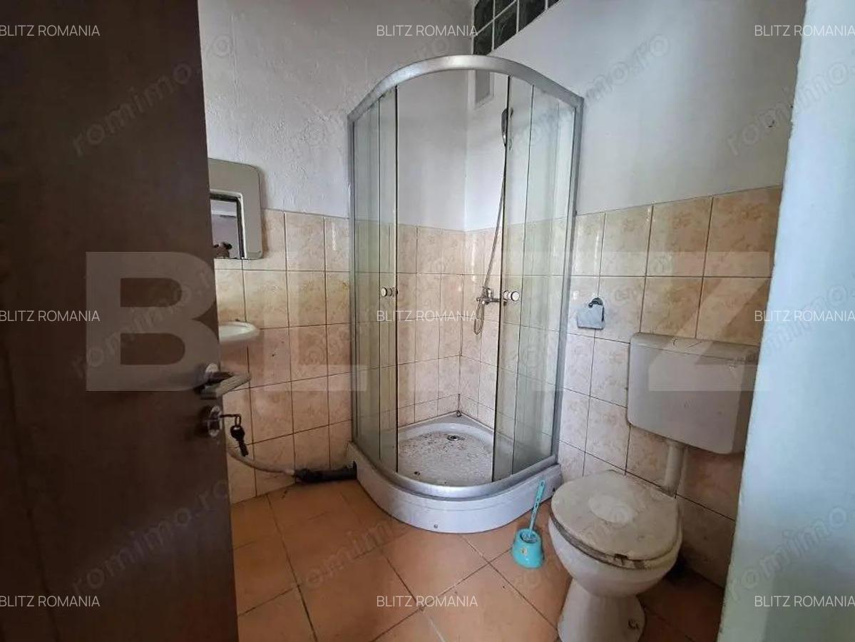 Proprietate de cazare, spatii comerciale, Lugoj - 7
