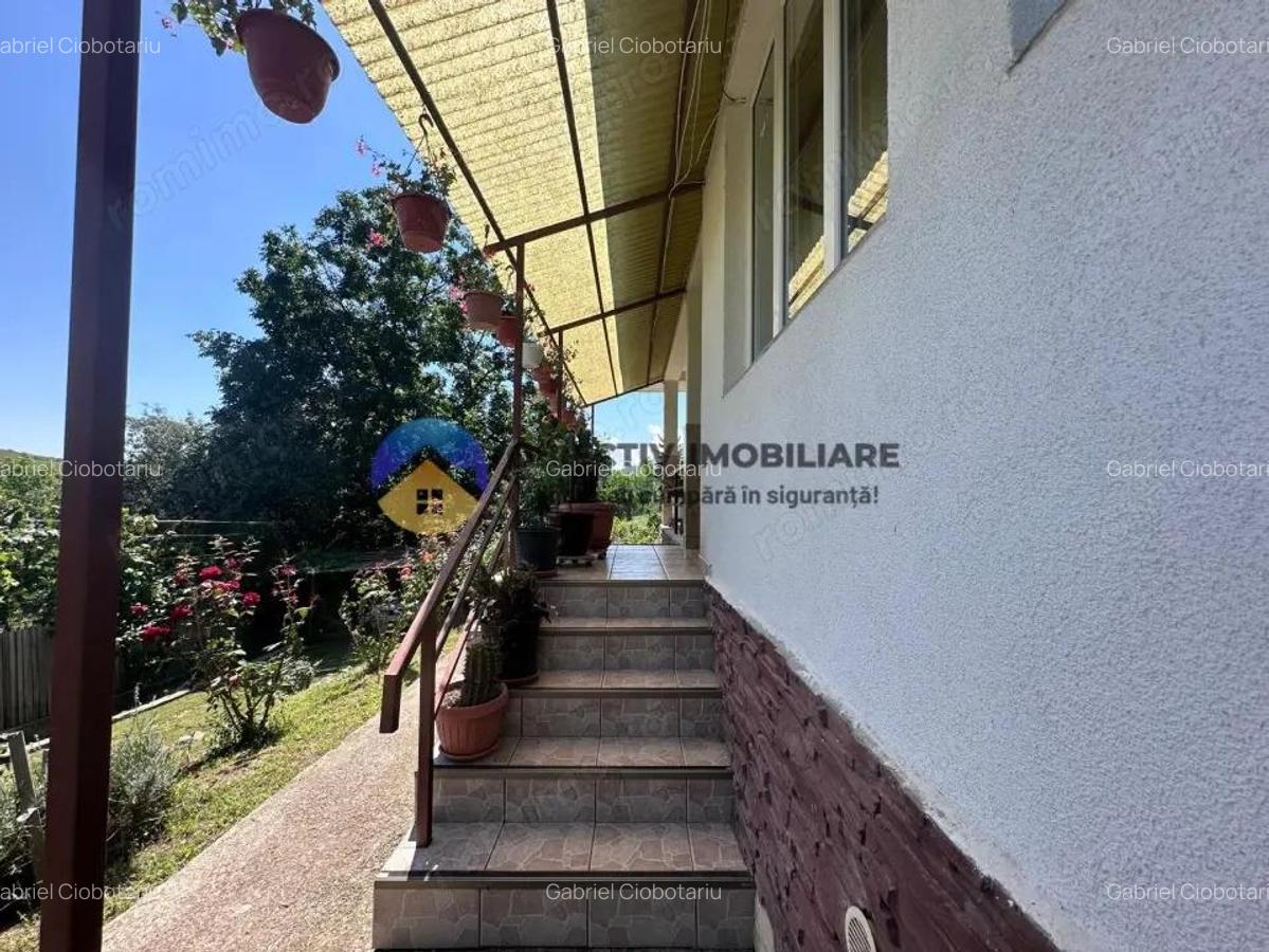 Casa + teren de vanzare - Garcina - 9