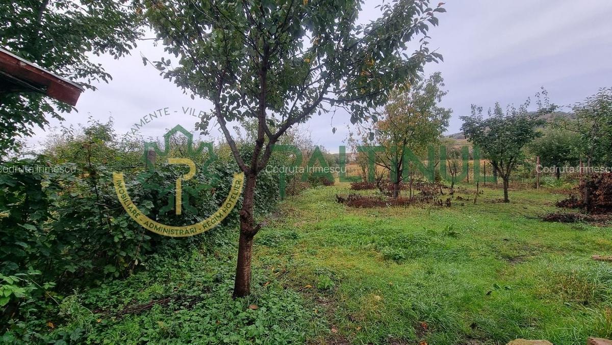 Casă singur în curte, 1.310 mp teren - Gusterița, garaj, pivniță, grădină - 5