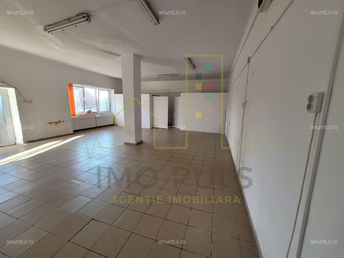 Casa individuala in Sacalaz, spatii comerciale - 3