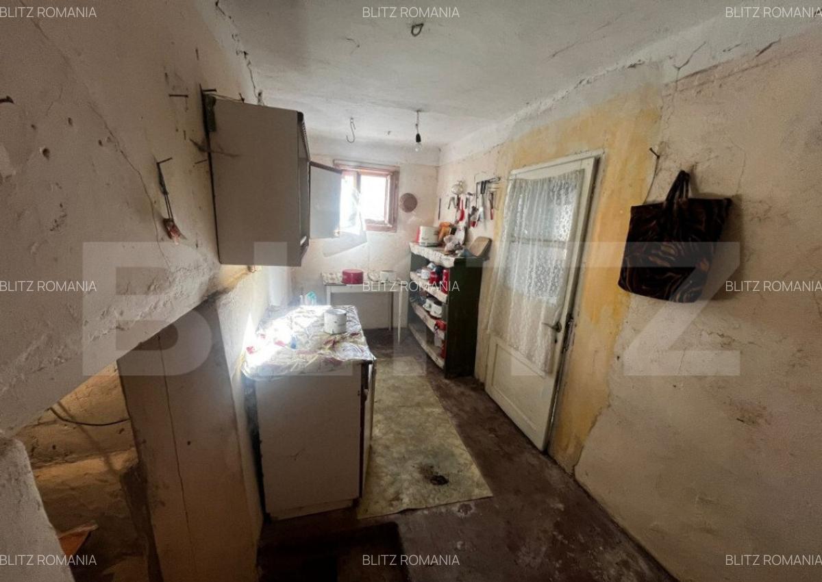 Casa individuala de vanzare, 110 mp + 2700 mp teren, la 11 - 14