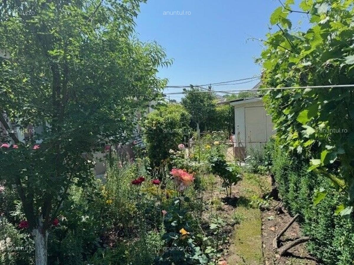 Corabia Olt Casa de vanzare 4 camere - 3