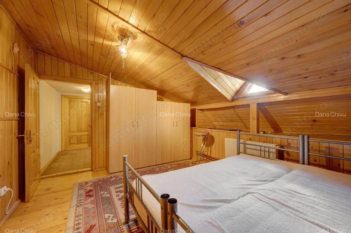 Casa strada Viitorului Piata Gemeni Dacia - 17