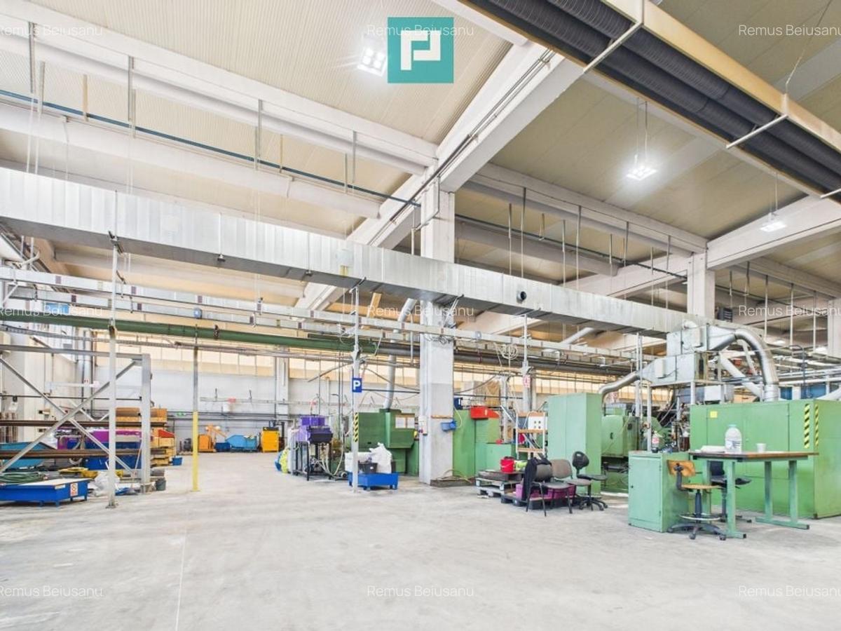 Hală industrială modernă, Șagului - 1