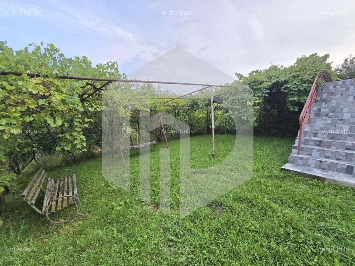 Casa individuala 4 camere teren 3825 mp Cisnadioara - 27