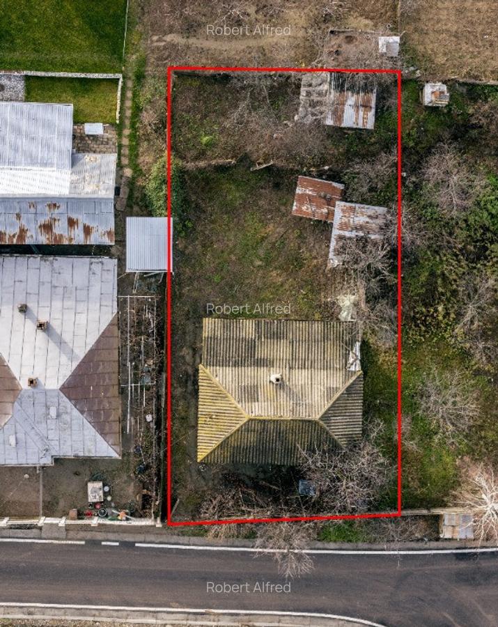 Casa batraneasca cu utilitati la poarta, asfalt nou, 15 min de Iasi - 9