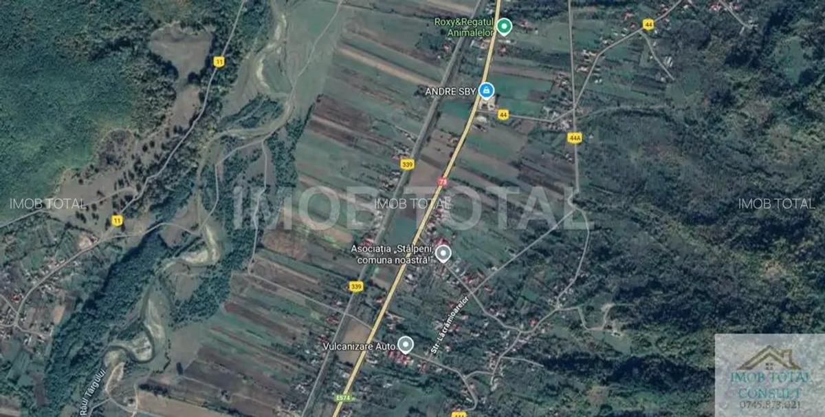 Teren 5400 mp , Stalpeni , sat Radesti - 3