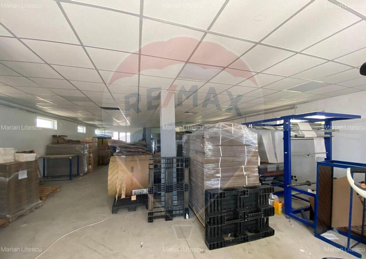 Teren cu hala, Bucsani, Crevedia / DN 61 (A1, A0) 40 Km ... - 14