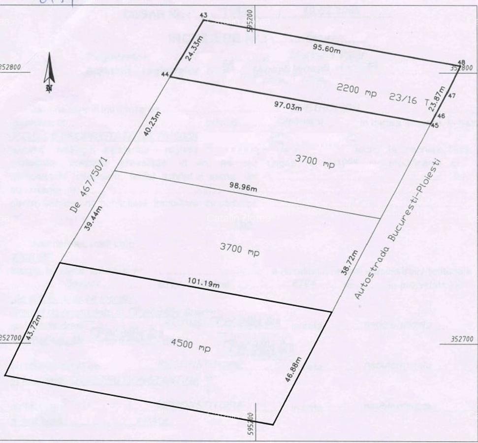 Teren intravilan(2200 mp/4500 mp) cu deschidere la autostrada A3! - 6
