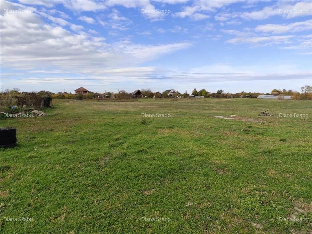 RECO teren intravilan Cefa cu proiect casa - 3