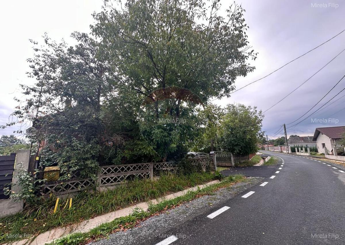 30 arii TEREN INTRAVILAN cu o GOSPODARIE veche - 8