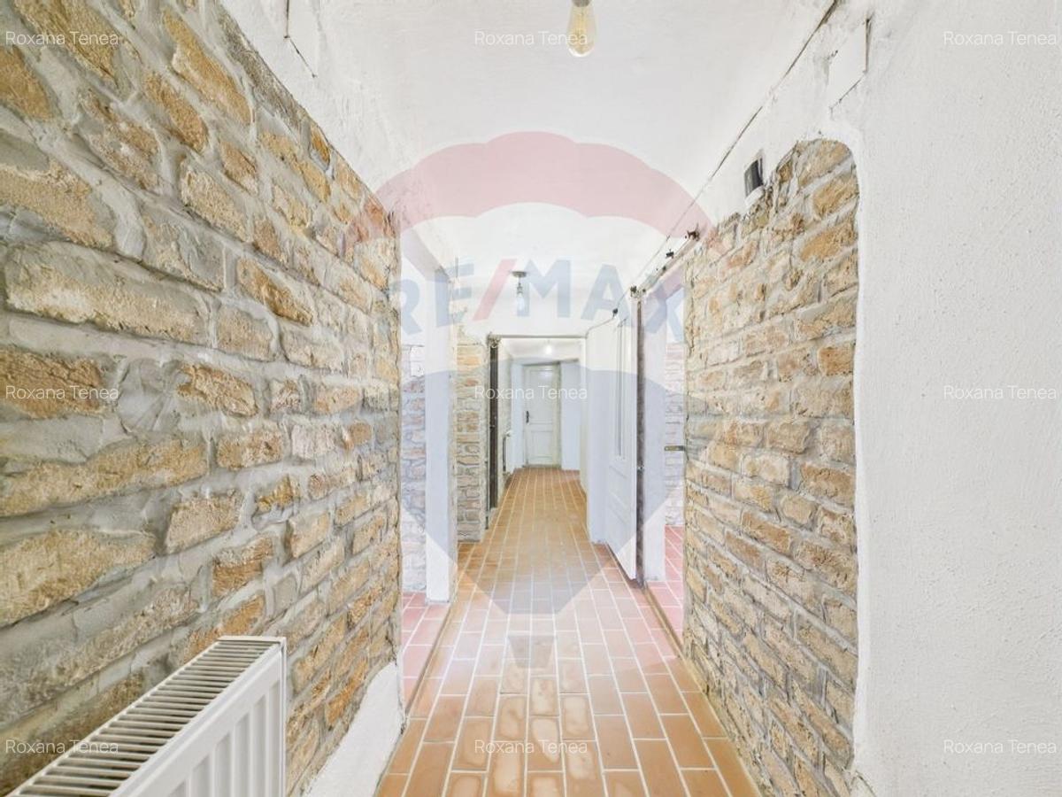 Spatiu comercial-Demisol-Atelier de arta - 13