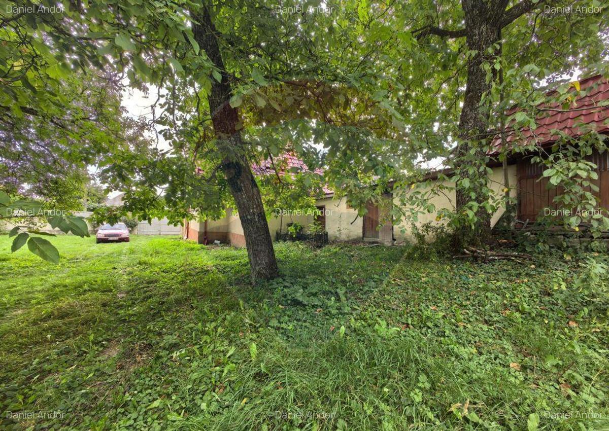Casa traditionala De Vanzare cu 5 Hectare de teren - 11