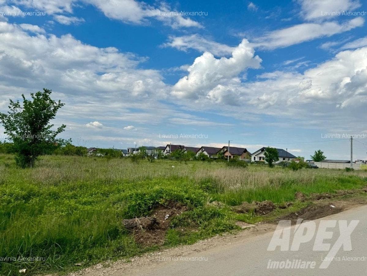 Teren intravilan 10000mp | Toate utilitatile | Zona Domnesti - 7