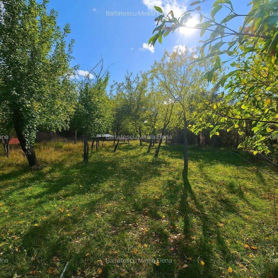 Casă tradițională într-un peisaj de vis – Vâlcănești - 26