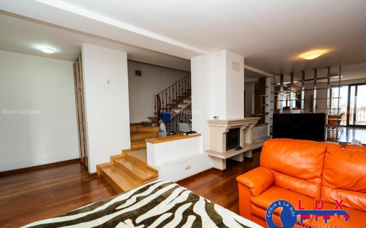 ID 6730 Vila D+P+M pe Strada Nicopol - EXCLUSIVITATE - 12