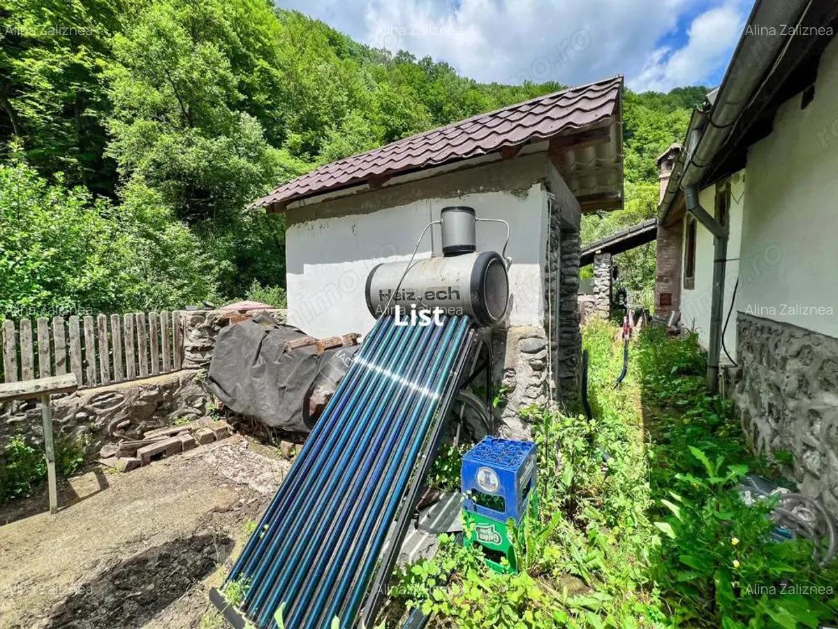 Casuta de vacanta in mijlocul naturii cu piscina - 5
