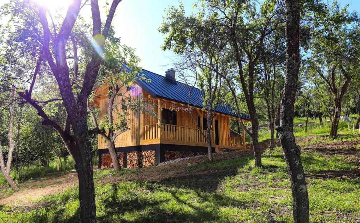 Cabana de vis in Nucsoara - Arges - 69.000 Euro! - 6